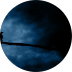 Home 24 Moon Goddess